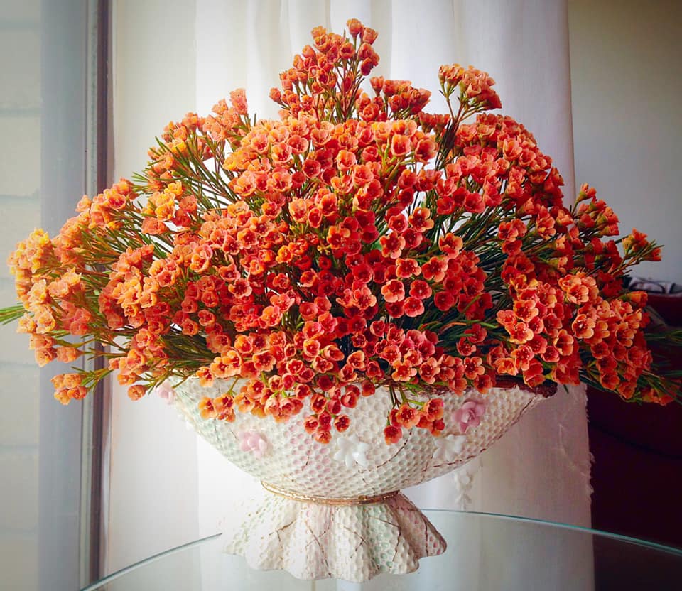 Tử vi ngày 10/3/2022 của 12 cung hoàng đạo